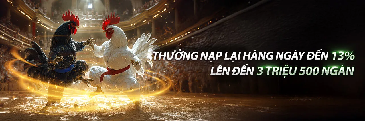 Hình ảnh tổng quan nền tảng cá cược ku68 nhà cái